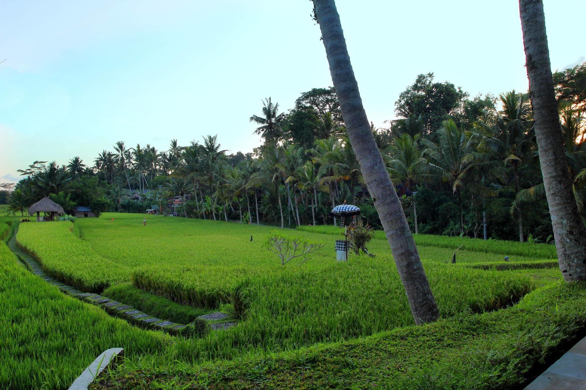 Mathis Retreat Ubud Екстер'єр фото